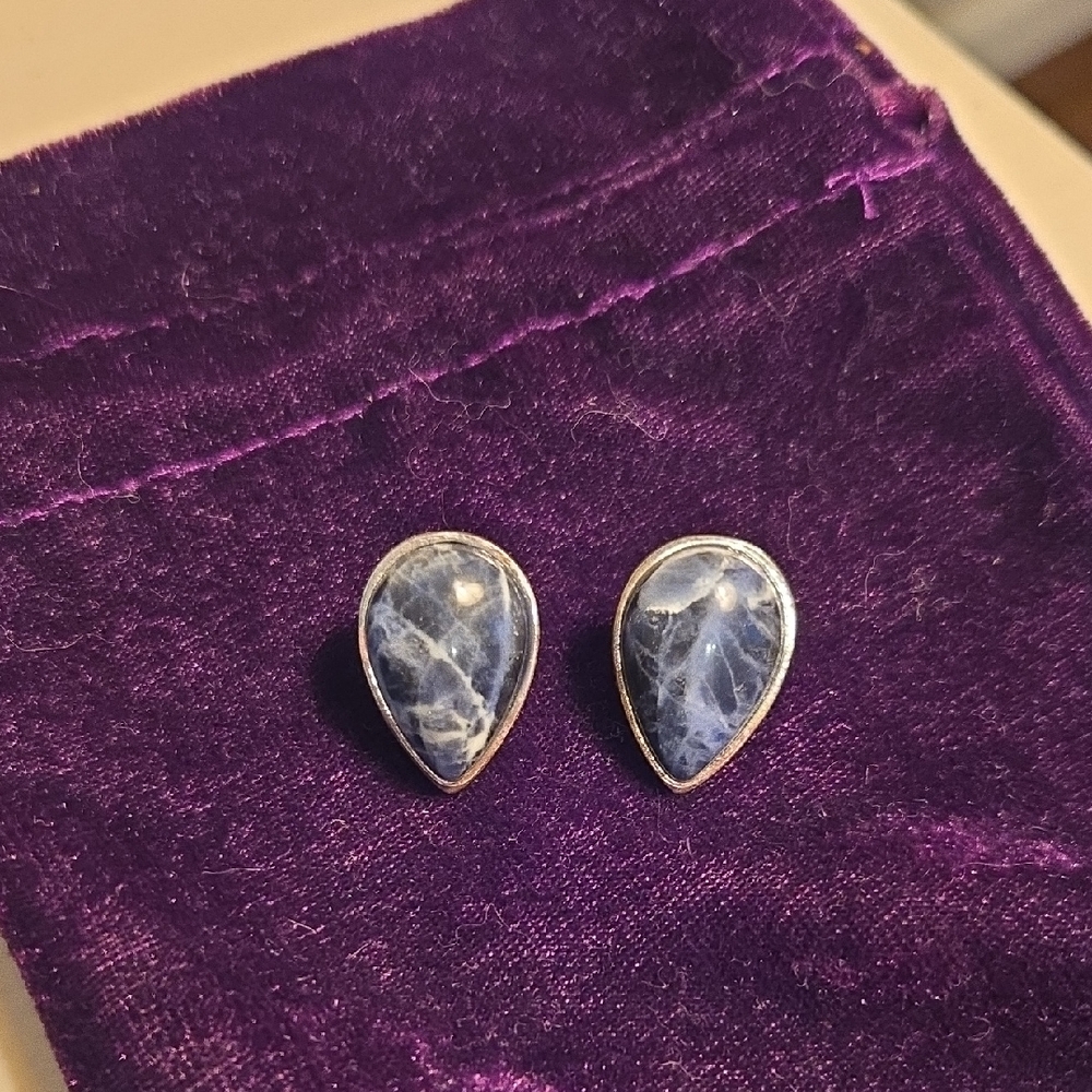 Monet Elegant Blue And Silver Marble  Teardrop Clip On  Earrings